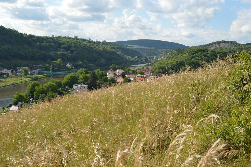 Restaurace A Penzion U Lva Karlštejn エクステリア 写真