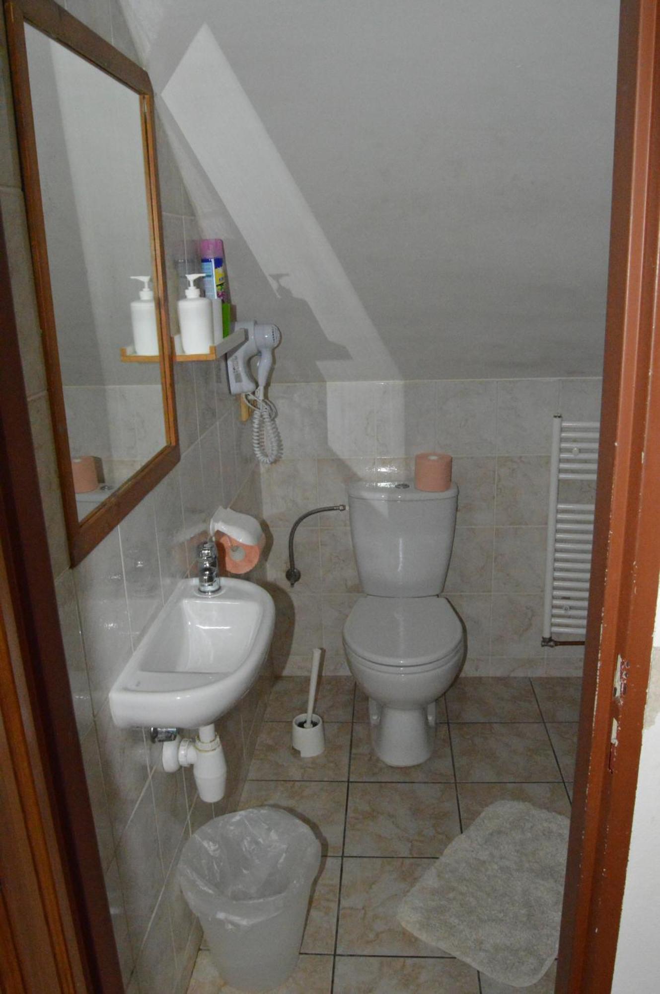 Restaurace A Penzion U Lva Karlštejn エクステリア 写真